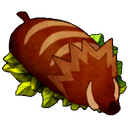 Roast Rushoar