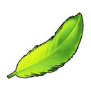 Tocotoco Feather