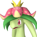 Dinossom