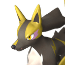 Rayhound